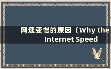 网速变慢的原因（Why the Internet Speeds Downs）